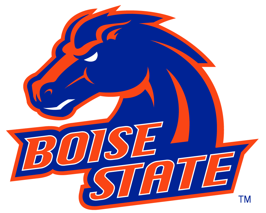 Boise State Broncos 2002-2012 Alternate Logo v5 iron on transfers for clothing